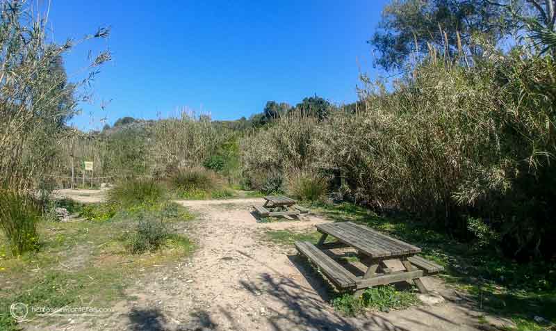 área recreativa con mesas de picnic