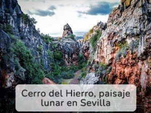 cerro-del-hierro-nicolas-del-puertocuadro-blanco naturaleza de cerro del hierro sevilla