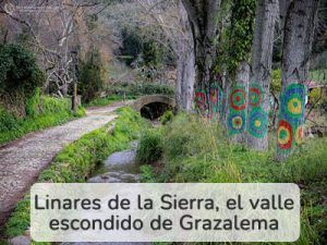 paseo-junto-al-rio-linares-de-la-sierracuadro-blanco sendero linares de la sierra