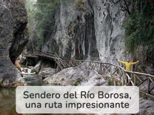 rio-borosa-Homepages