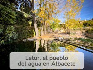 letur-homepage letur homepage