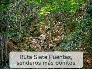 homepage-7-puentes ruta de los siete puentes de la rioja