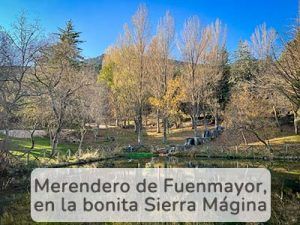 Fuenmayor-Homepages