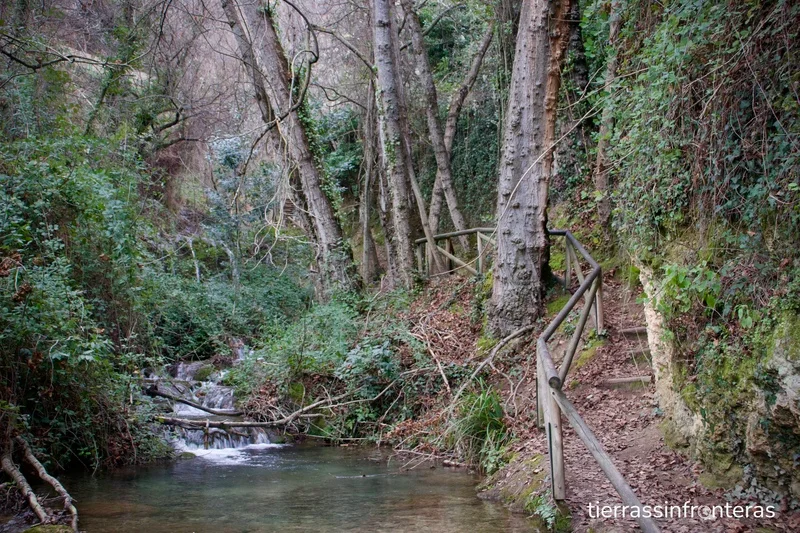 ruta rio cerezuelo, sierra de cazorla