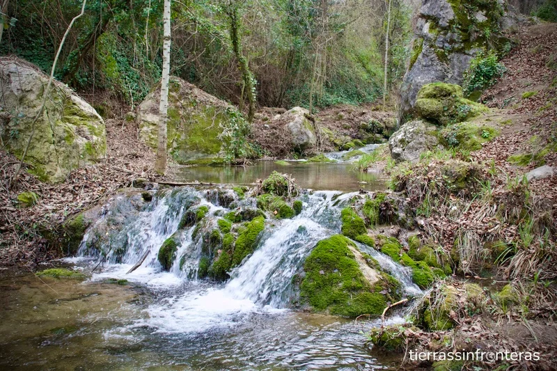 naturaleza y vegetación de rivera