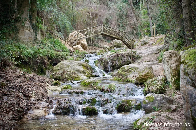 puentes de madera sobre el rio cazorla