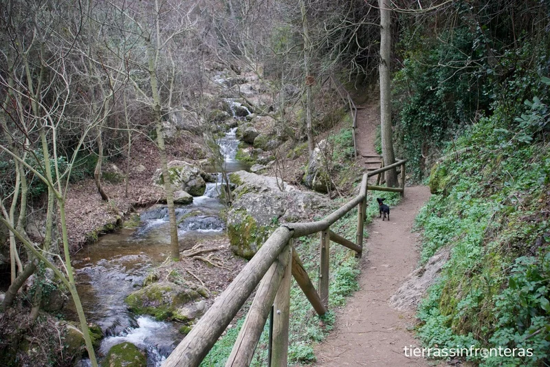senda cerezuelo con barandillas junto al rio