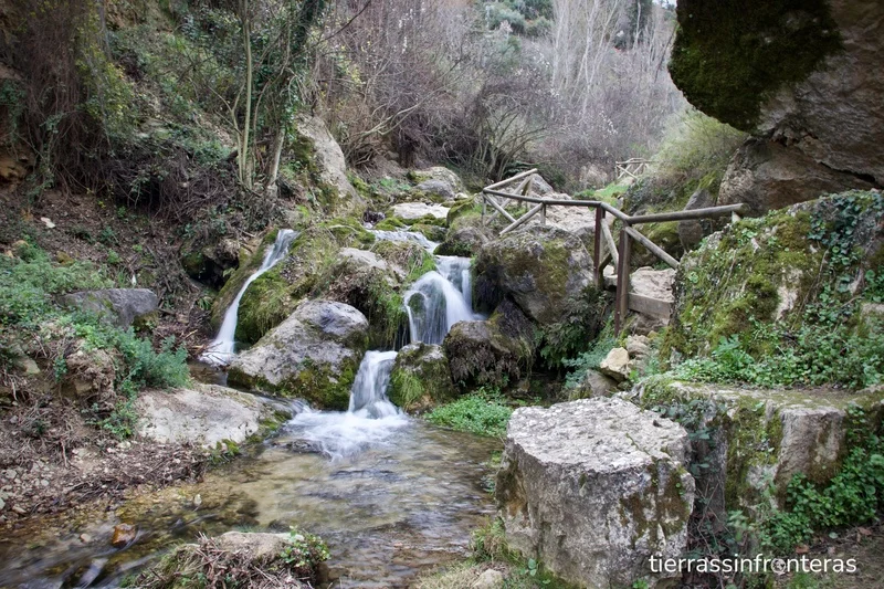 imagen de la mejor ruta de senderismo en cazorla, con un rio y vegetación de ribera
