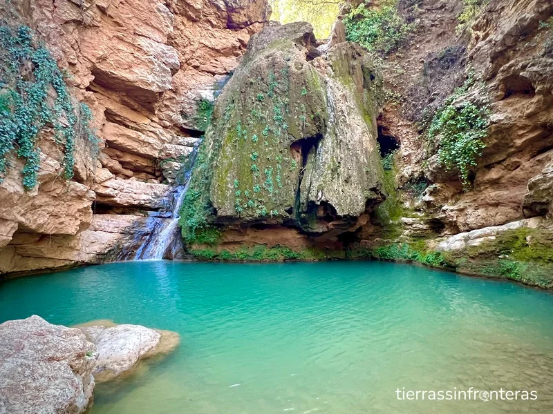 Casaca de hawai marruecos