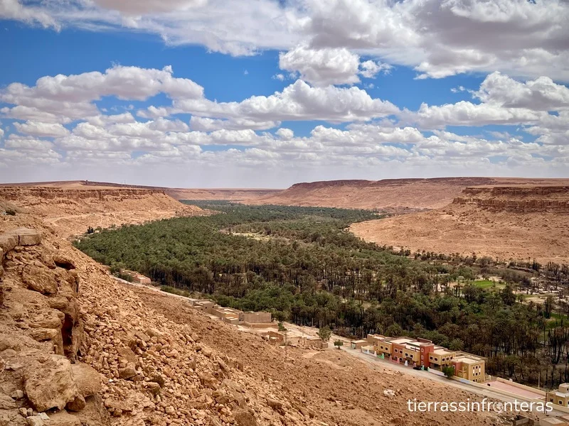 Palmerales del marruecos