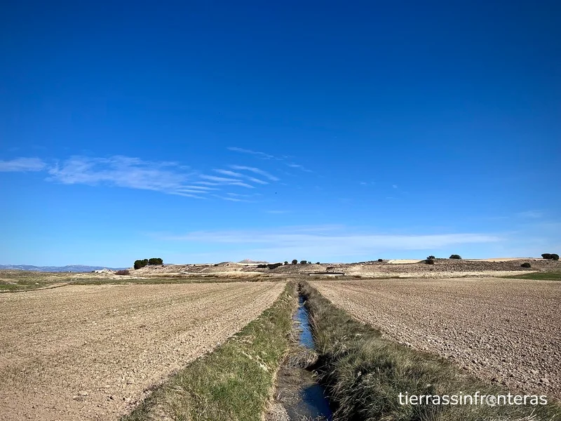 Cauce del guadalquivir en cañada de cañepla