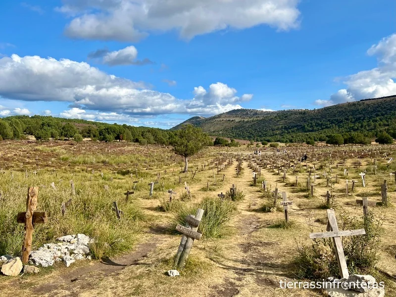 cruces del cementerio vista panorámica