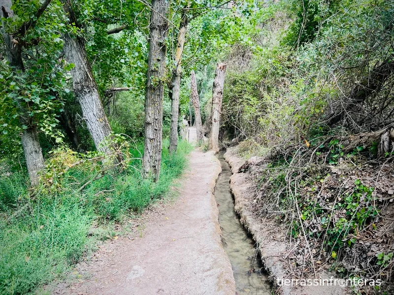 Imagen de uno de los senderos más bonitos de Granada