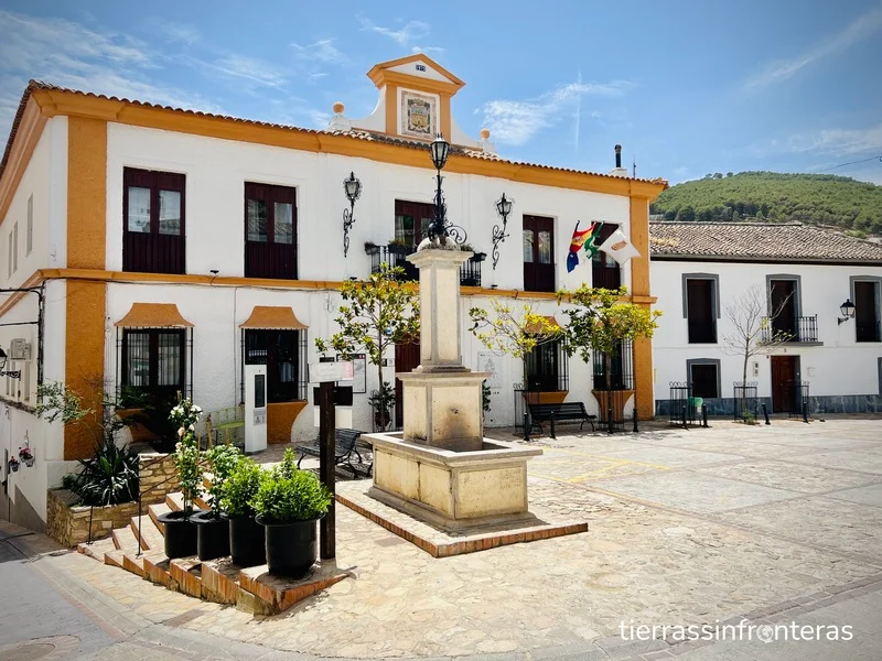 Plaza del ayuntamiento