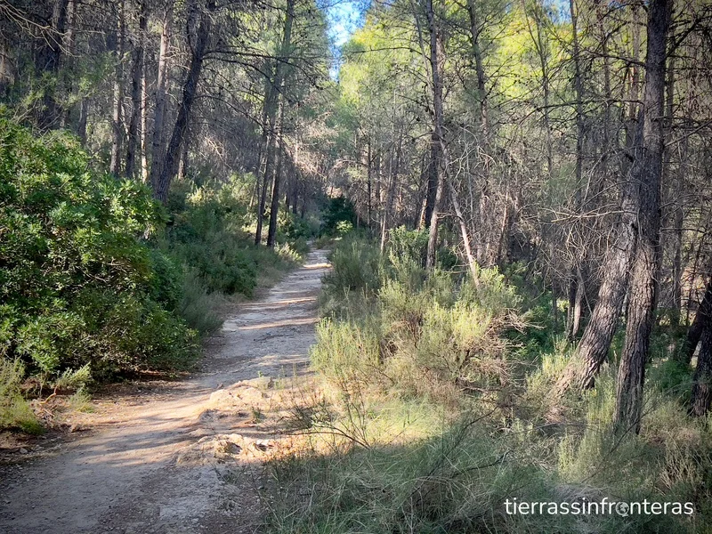 camino de acceso pozas de moratalla