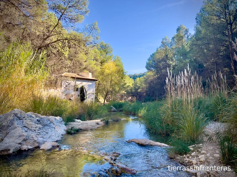 rio alharabe murcia