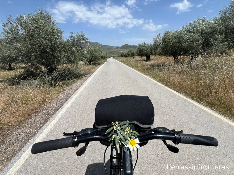 carretera del camino de santiago