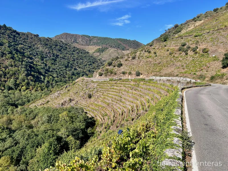 Ruta en coche en un día por las carreteras de la Ribera Sacra