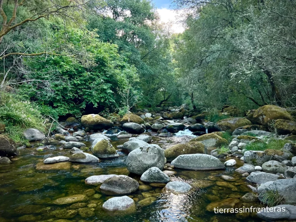 cauce del rio mao