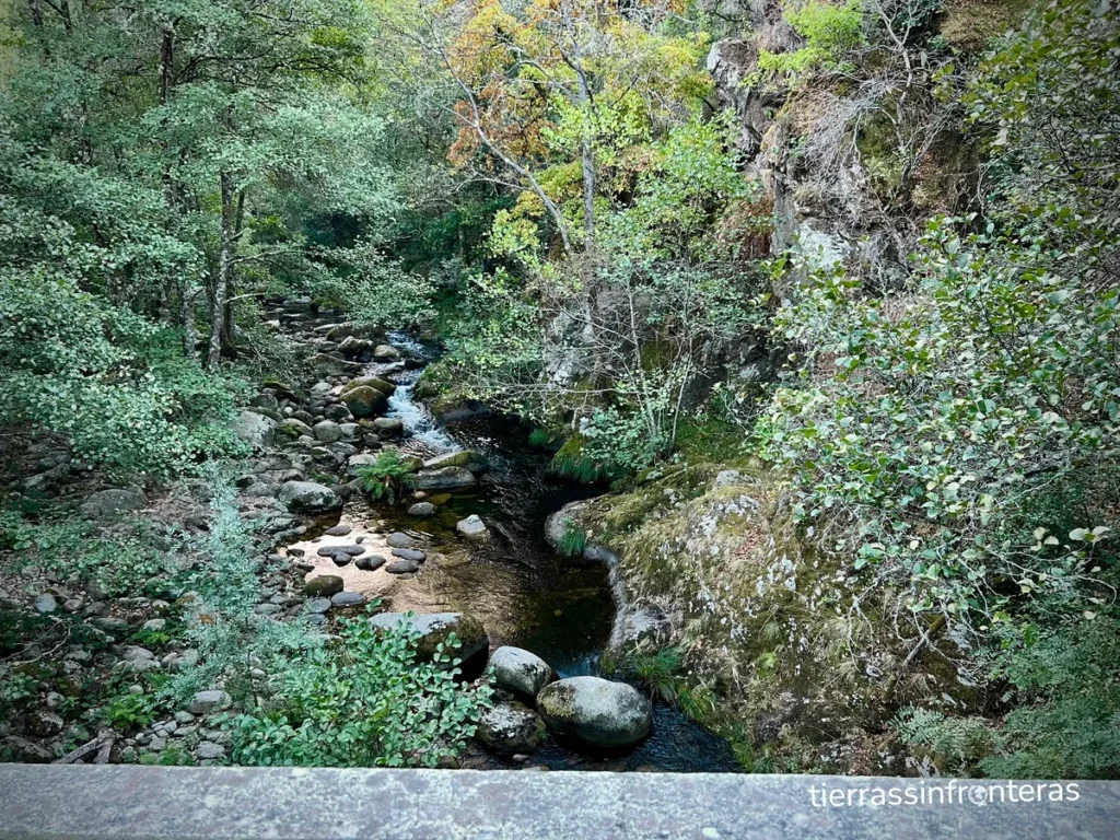 rio mao